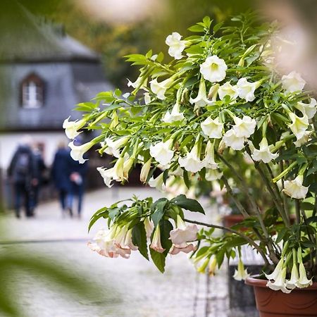 Hideaway Im Odenwald Nahe Heidelberg Lejlighed Eberbach  Eksteriør billede